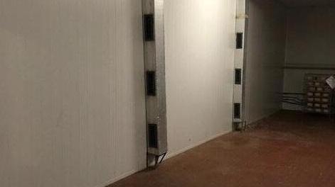Migliaia di forme sparite Nucci: «Andiamo avanti con tutti i nostri progetti»
