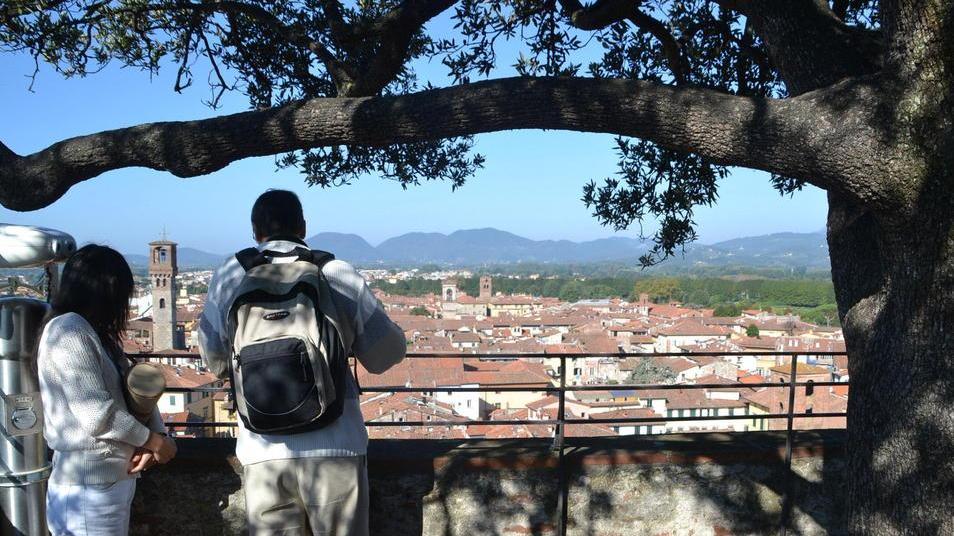 Il turismo a Lucca continua a crescere, ed è boom per gli accessi alle torri