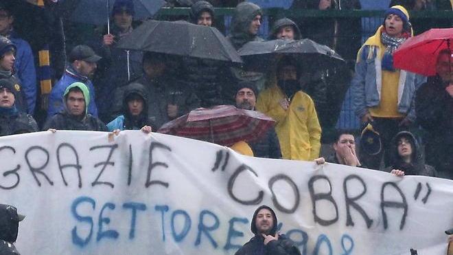 Il Cobra