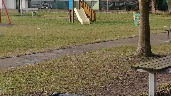 Vandalismo nel parco Sradicati i cestini
