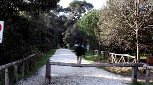 Mamma e figlia aggredite da due extracomunitari ubriachi