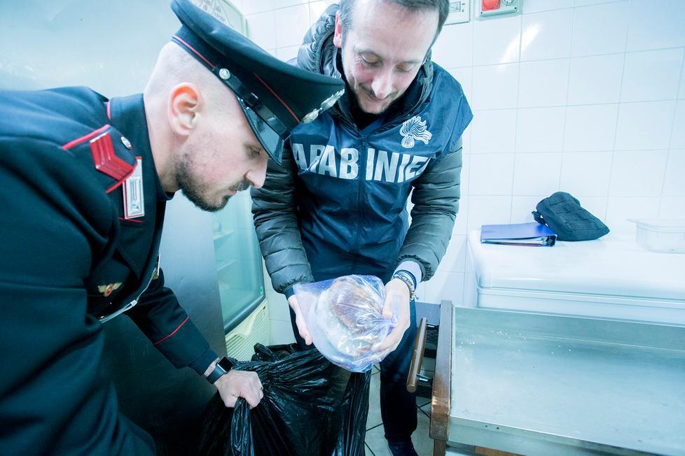 Tre quintali di cibo mal conservati nel frigo della scuola 