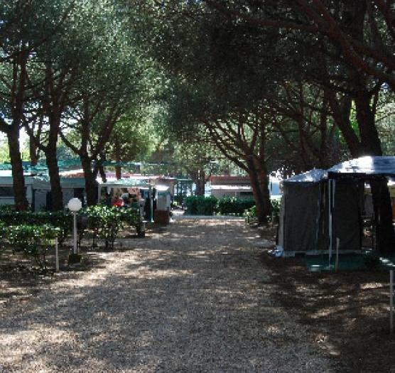 L’idea di mille posti letto e rilancio stellare per l’area del campeggio Sant’Albinia
