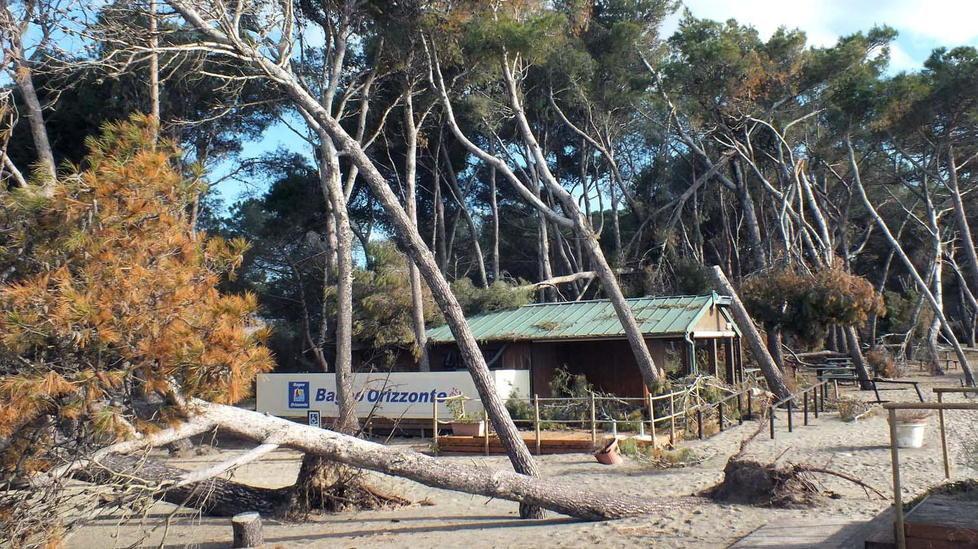 Ripascimento, la sabbia presa tra Tor del Sale e Torre Mozza 