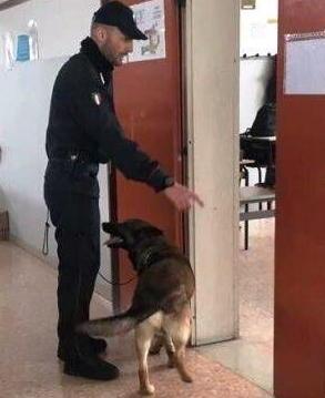 Unità cinofila a scuola per prevenire lo spaccio