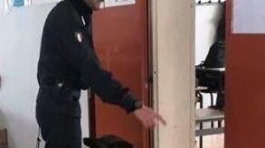 Unità cinofila a scuola per prevenire lo spaccio