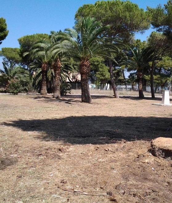 «Illuminiamo di rosa anche l’ex Idroscalo»