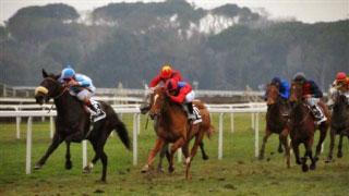 San Rossore, due handicap per puledri