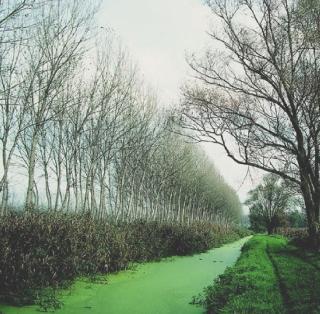 Anche il Padule di Fucecchio tra le aree protagoniste di “Vestire il paesaggio”