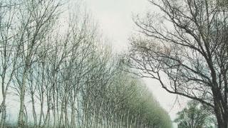 Anche il Padule di Fucecchio tra le aree protagoniste di “Vestire il paesaggio”