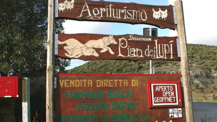 «Il mio cane sbranato dai lupi» L’allarme di un allevatore