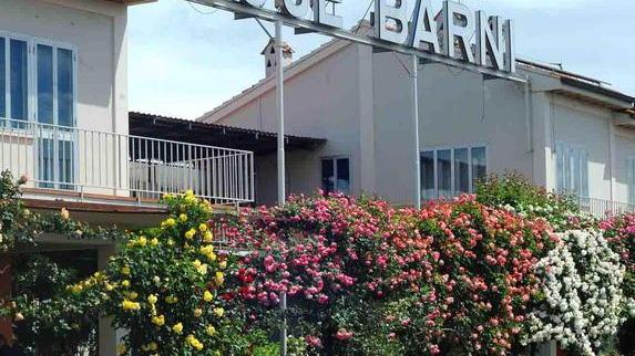 Le celebri rose di Barni orneranno l’aiuola di piazza Spirito Santo