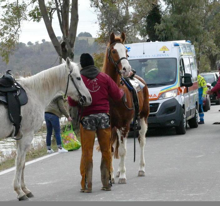 Colpito dal calcio di un cavallo alla benedizione di S.Antonio