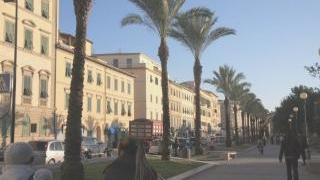 Le palme sono state piantate sul lungomare di Livorno nel 2001. Ecco come appaiono dopo la potatura dei giorni scorsi: la folta chioma è scomparsa
