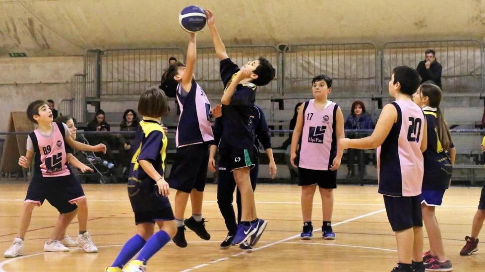 Ai nastri di partenza le attività del Cus Pisa Juniors per bambini da 4 a 11 anni