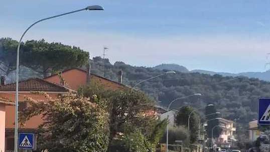 Tumori a Piano del Quercione Anni per conoscere le cause