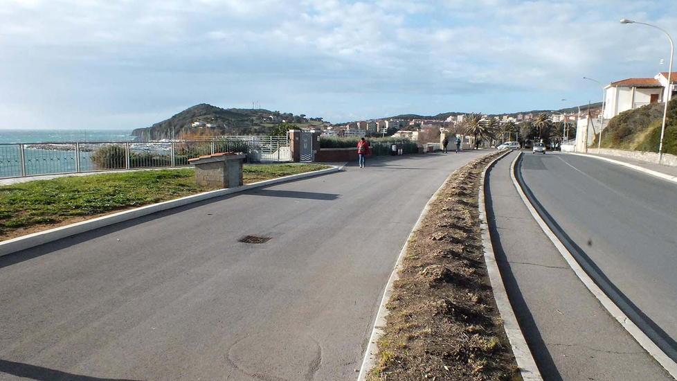 Oleandri del lungomare potrebbero sparire E le palme malate sono sotto controllo