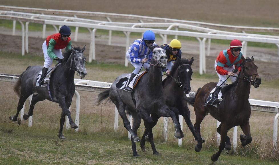 Idea, un parco giochi dentro l’ippodromo Massai: «Mai avuta un’offerta dai sardi» 