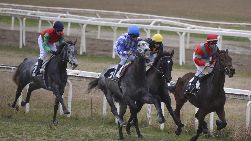 Idea, un parco giochi dentro l’ippodromo Massai: «Mai avuta un’offerta dai sardi»