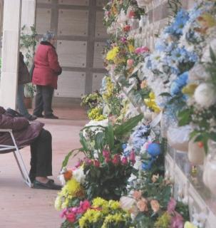 Rubava fiori dalle tombe