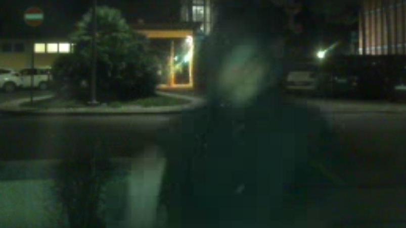 Furti e vandalismi alla tabaccheria E la proprietaria diventa detective