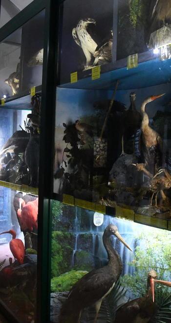 Il museo di Capannoli è pronto alla rivoluzione grazie all’idea innovativa di Salvadori e il suo team 