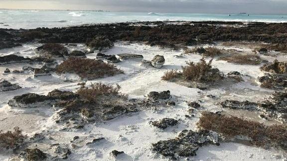Schiume sulla costa al Lillatro verso uno studio del Cnr
