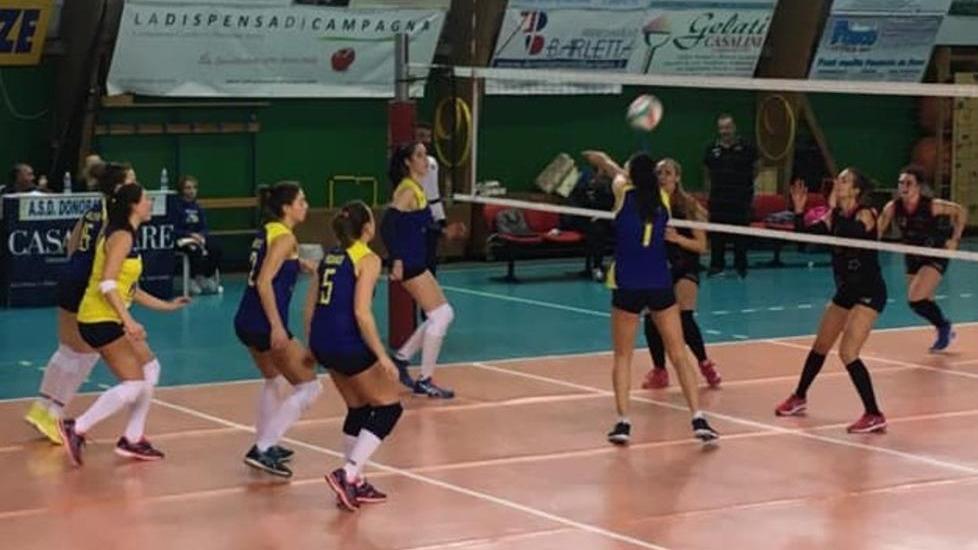 Paradù Donoratico a Pisa, esordio tosto per il nuovo coach