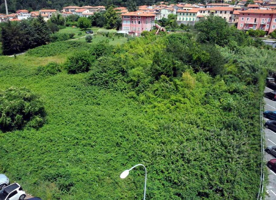 Cinquecento anni e sentirli tutti: il degrado del Pomario Ducale 