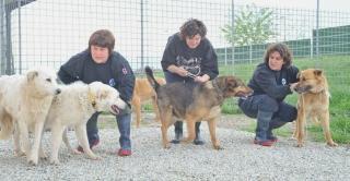 I cani salvati dal terremoto dell’Aquila al canile con alcuni volontarie dell’Enpa