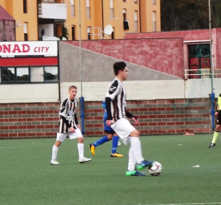 Zebrette trafitte nel recupero nella “piscina” di Savona 