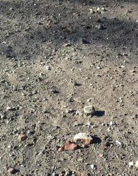 Sull’ex Campo Balilla ancora sassi: per pulirlo il terreno deve asciugare
