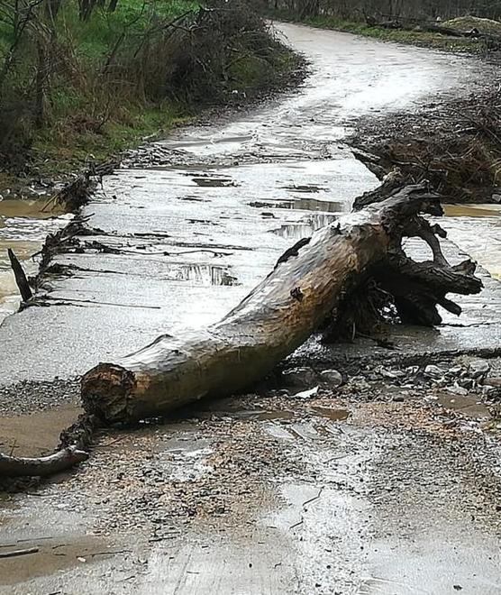 Strade percorribili L’Elsa è sotto controllo