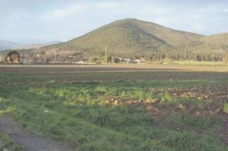 Maliseti, l’area ai piedi del Monteferrato che sarà interessata dalla lottizzazione