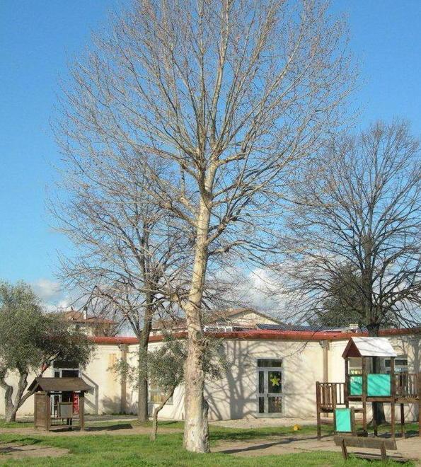 Ecco il progetto per ampliare la scuola dell’infanzia Il Parco 