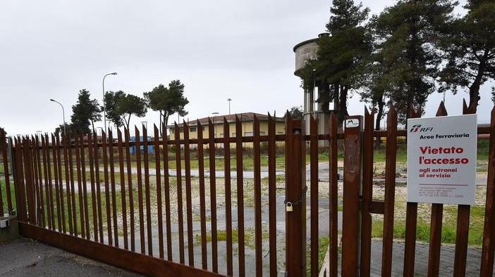 «I serpenti escono dai cancelli e si infilano nei nostri giardini»