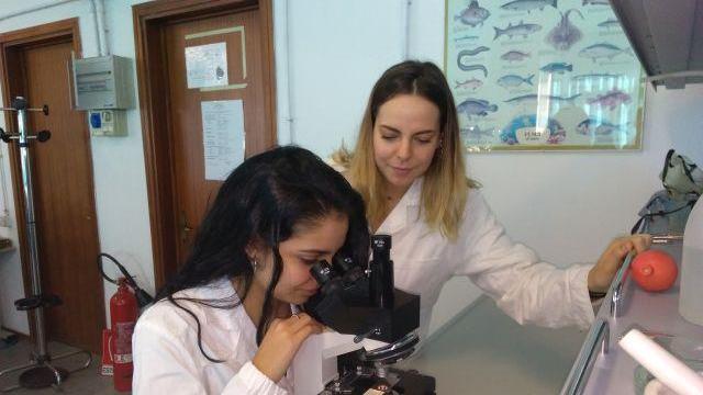 Studenti all'interno del laboratorio scientifico del liceo Livi