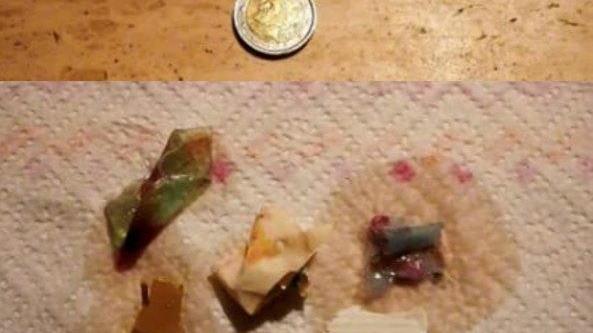 I frammenti di plastica trovati nella pancia di una spigola pescata nel golfo di Baratti
