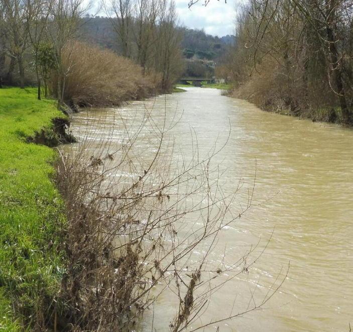 Ora il Pesa può diventare anche un motore di sviluppo 
