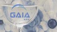 <strong>BOLLETTE CONTESTATE.</strong> Ancora un aumento gli utenti di Gaia