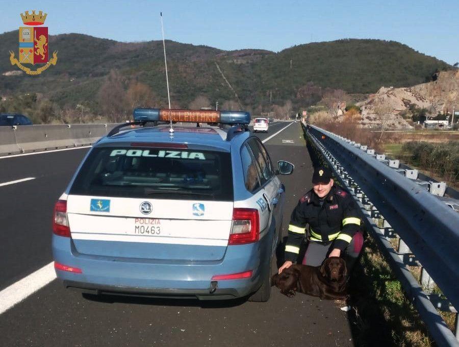 Uno dei poliziotti della Polstrada con il labrador salvato
