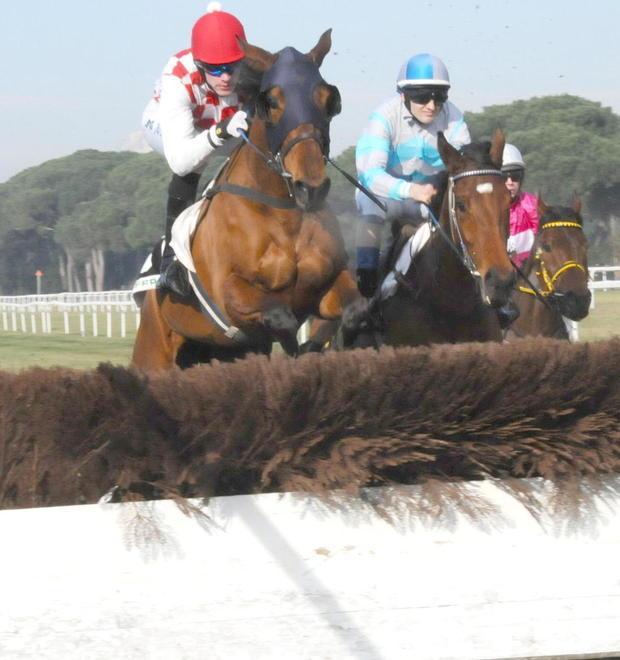 Tre prove a ostacoli e quattro in piano oggi a San Rossore
