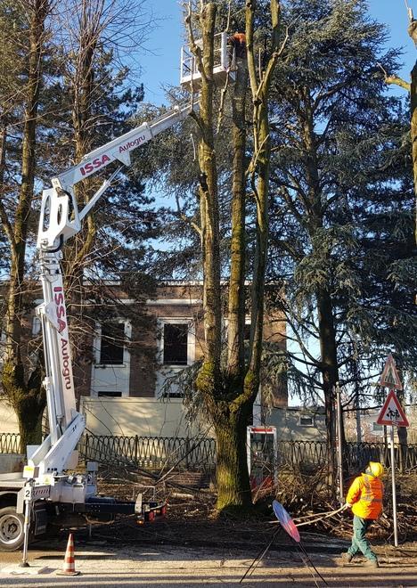 Interventi del Comune sul verde «Prima fase»