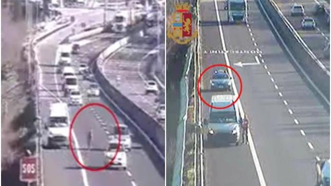Perde il carico in A11, guida in retromarcia e attraversa tra tir e auto per recuperarlo - Video
