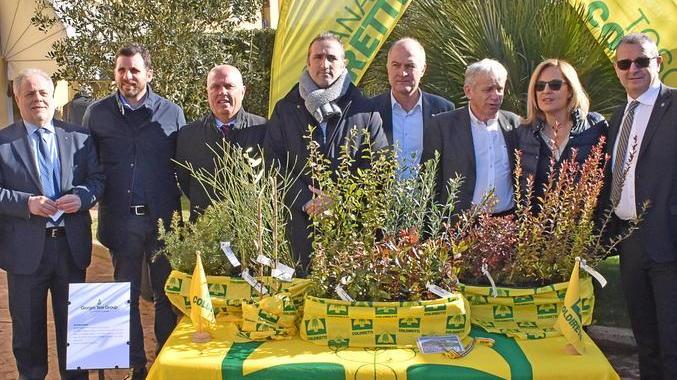 Giorgio Tesi Group dona 10mila piante per aiutare il Monte Pisano a rinascere