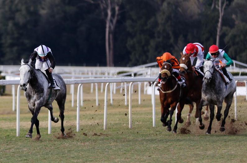 San Rossore, Bartos vince il premio Feltre 