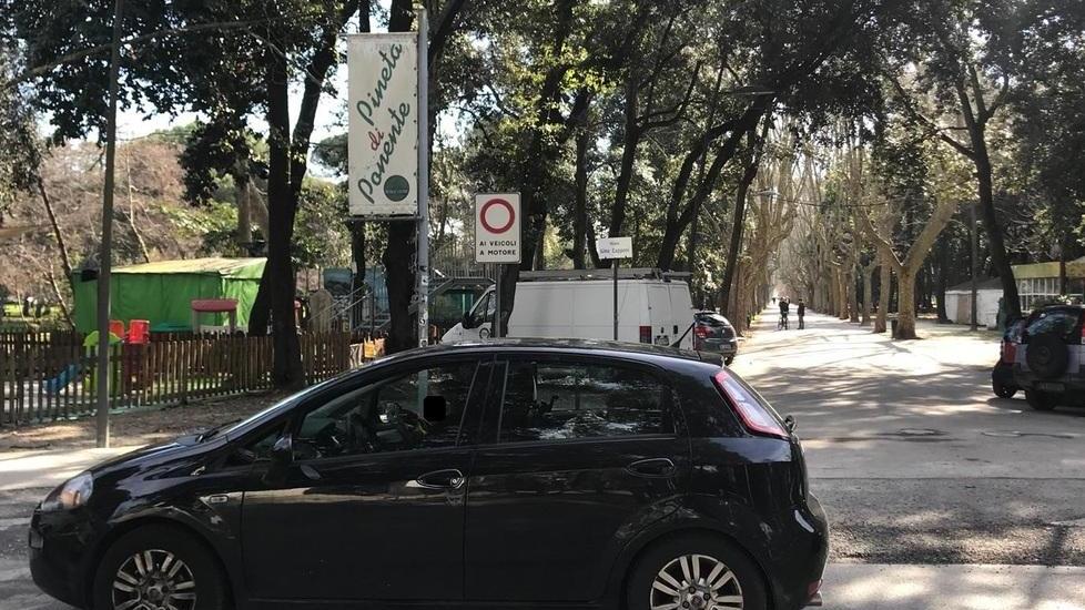 Rabbia e rassegnazione nella pineta «Il nostro parco in preda allo spaccio»