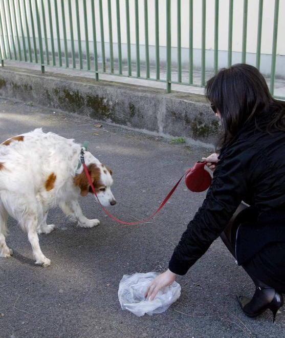 Deiezioni canine, scatta il giro di vite sulla pulizia