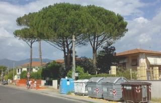 Un’isola ecologica con i cassonetti per la raccolta differenziata