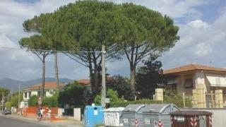 Un’isola ecologica con i cassonetti per la raccolta differenziata